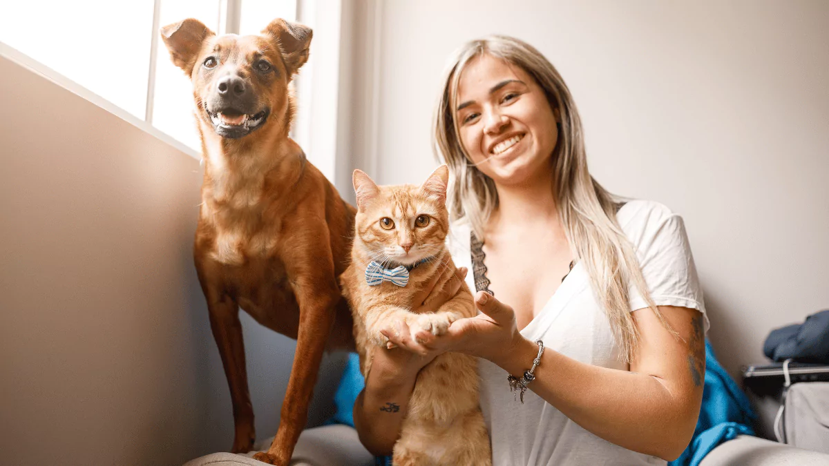 Pet Sitting