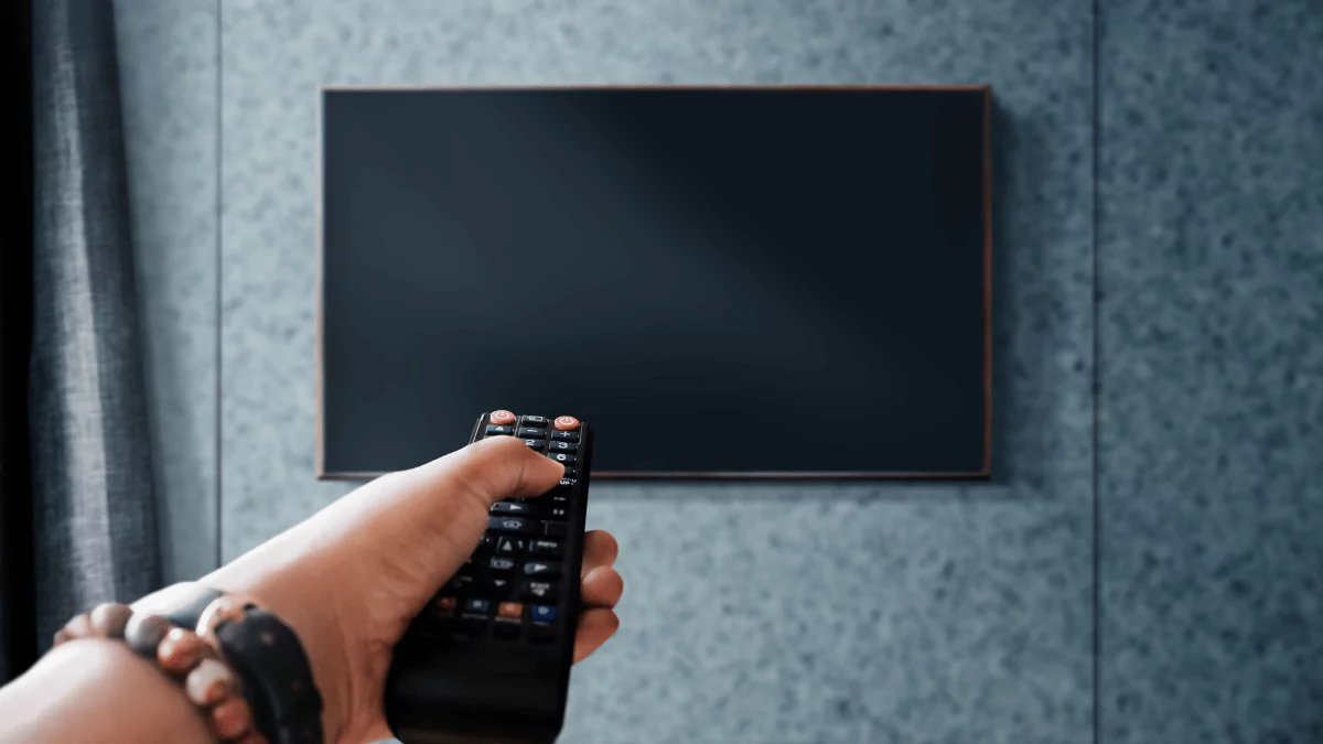 Hand Holding TV's Remote Control