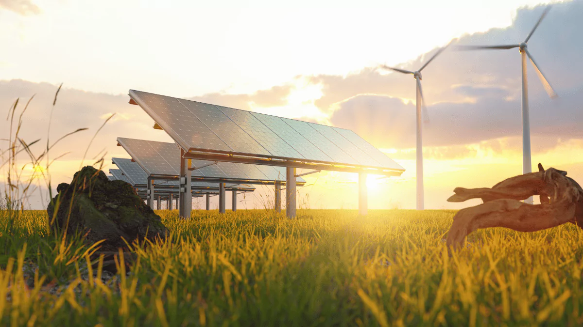 solar panels and wind turbines in a grassy field